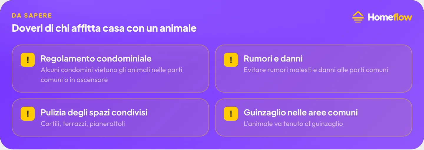 Doveri di chi affitta casa con un animale: regolamento condominiale, rumori e danni, pulizia degli spazi condivisi, guinzaglio nelle aree comuni