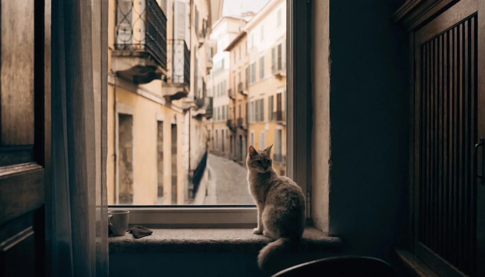 Gatto tranquillo su un davanzale di un appartamento affacciato su una via italiana
