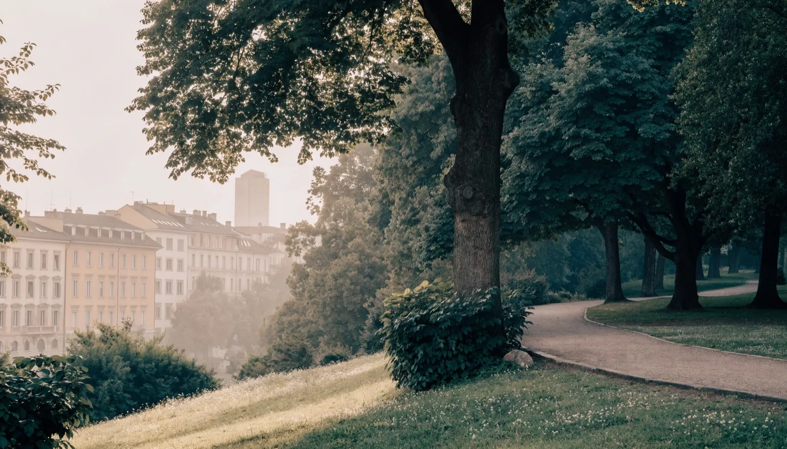 Parco pubblico verde a Brescia con alberi e un vialetto, luce del mattino
