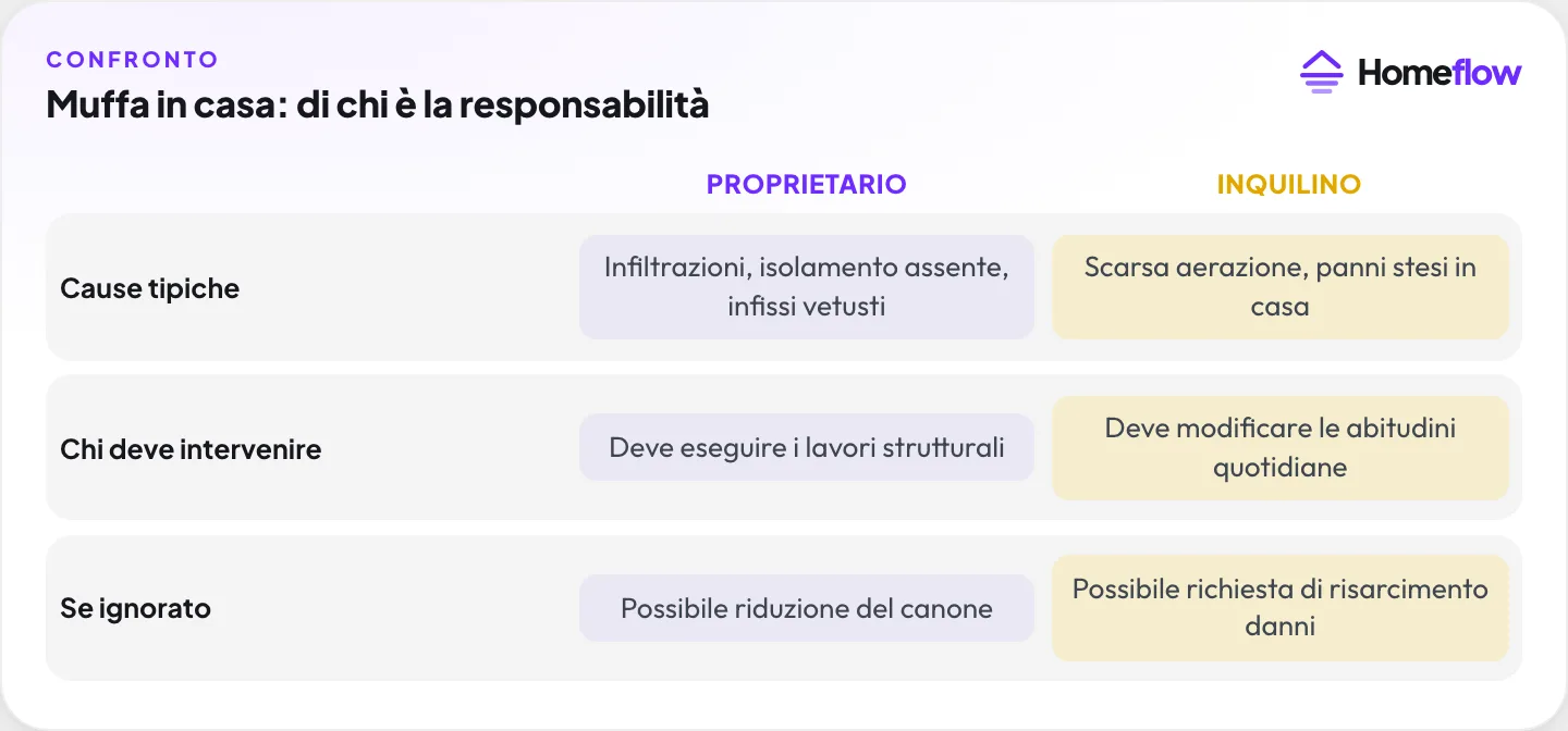 Muffa in casa: di chi è la responsabilità tra proprietario e inquilino, cause tipiche e conseguenze