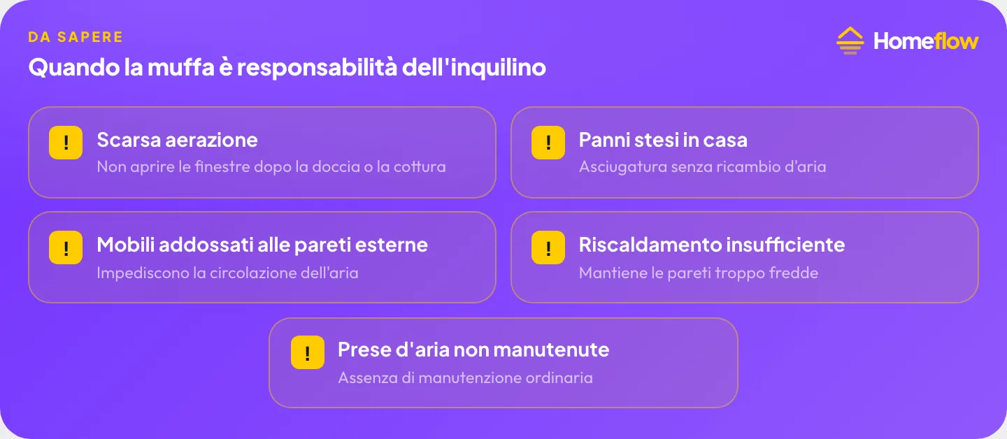 Quando la muffa in casa è responsabilità dell’inquilino: scarsa aerazione, panni stesi in casa, mobili addossati alle pareti, riscaldamento insufficiente