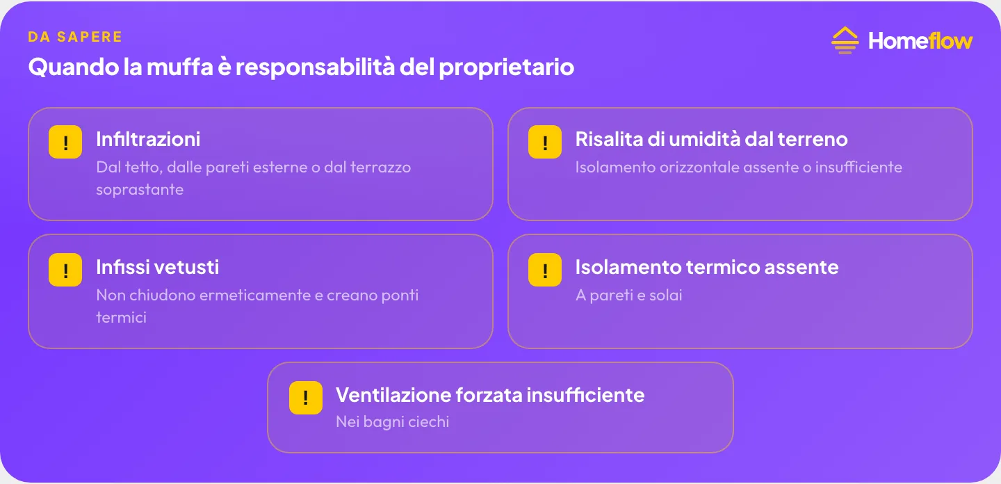 Quando la muffa in casa è responsabilità del proprietario: infiltrazioni, risalita di umidità, infissi vetusti, isolamento assente, ventilazione bagni ciechi