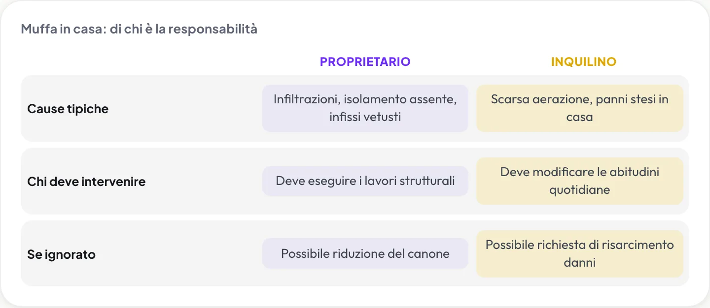 Muffa in casa: di chi è la responsabilità tra proprietario e inquilino, cause tipiche e conseguenze